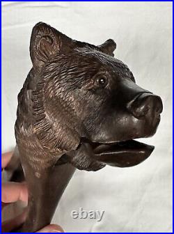Antique Black Forest Hand Carved Wood Bear Head Nut Cracker Glass Eyes