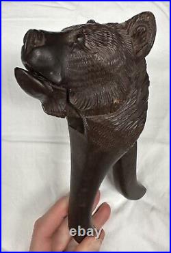 Antique Black Forest Hand Carved Wood Bear Head Nut Cracker Glass Eyes