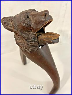 Antique Black Forest Hand Carved Wooden Bear Nutcracker with Glass Eyes c1880-1910