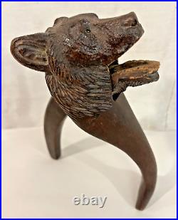Antique Black Forest Hand Carved Wooden Bear Nutcracker with Glass Eyes c1880-1910