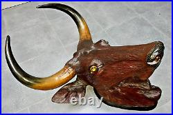 Antique Black Forest Huge Wood Carved Bull Head With Real Horns And Glass Eyes