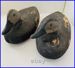 Antique Duck Decoys Set of 2 Original Paint Glass Eyes Possibly Gladwell