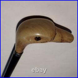 Black Lacquer Cane with Ivory Color Bird Head with Glass Eyes