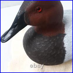 Canvasback Drake Hand Carved & Painted, Glass Eyes 15 1/2x 7x 7AWESOME DETAIL