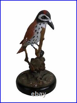 Hand Carved Bird on Branch Sculpture Painted Wood Glass Eyes Red Feathers