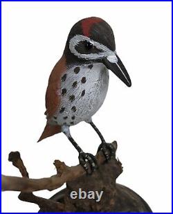 Hand Carved Bird on Branch Sculpture Painted Wood Glass Eyes Red Feathers