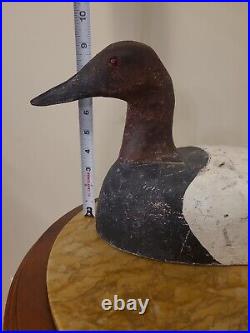 LARGE OLD VINTAGE CANVASBACK DUCK DECOY DRAKE solid wood, glass eyes, with weight