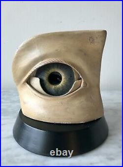 Model Eye, French, wood, plaster and glass, Good Condition, Circa 1900