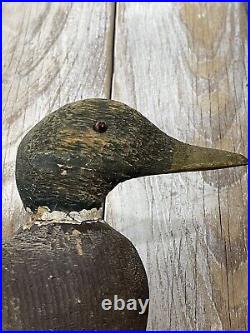 VINTAGE/ANTIQUE Animal Trap Co VICTOR Mallard Duck Decoy Wood Glass Eyes 40s-50s