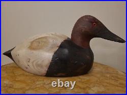 VINTAGE CANVASBACK DUCK DECOY WITH GLASS EYES, Hand Made, solid wood