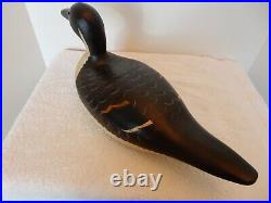 Vintage Pintail Decoy New Jersey Wood Glass Eyes Signed