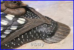 Vintage Wood Carved Loon with Chick Decoy Glass Eyes No 20 Kelly Seibels 1991